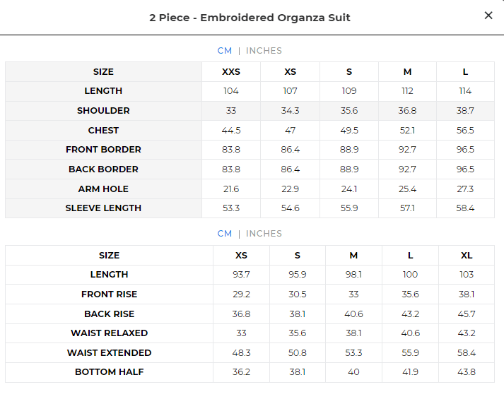 2 PIECE - EMBROIDERED ORGANZA SUIT | IMBASAT - Tamnz