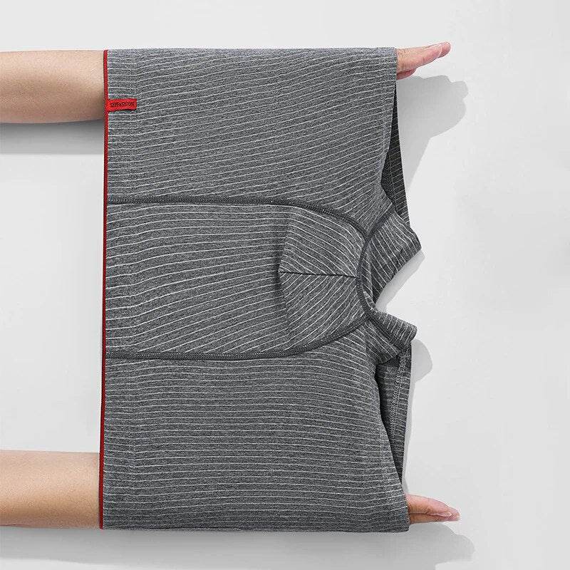 4 Pcs Boxer Men Sexy Stripe Panties Underwear Sexy Knickers for Men Underpants Shorts Fashion Under Wear Lingerie Boxers Briefs - Tamnz