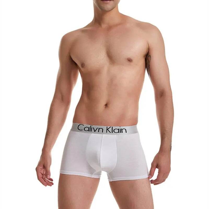 Fashion Letter Printing Boxershorts Breathable Ice Silk Men's Underwear 3D Pouch Shorts Underpants Seamless Male Boxer Pants - Tamnz