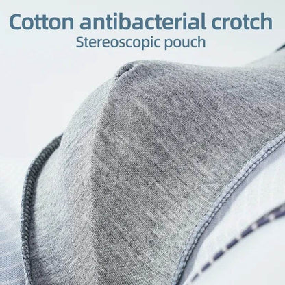 4 Pcs Boxer Men Sexy Stripe Panties Underwear Sexy Knickers for Men Underpants Shorts Fashion Under Wear Lingerie Boxers Briefs - Tamnz