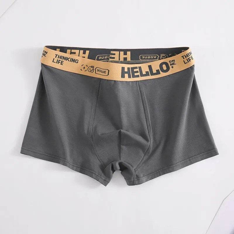 Men's Underwear Men Wholesale Large Size Mid-waist Antibacterial Breathable Comfortable Cotton Boxer Shorts Head Men - Tamnz