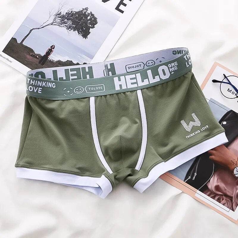 Men's Panties Cotton BoxerShorts Man Underwear Mens Boxers Sexy U Convex Male Underpants Plus Size cuecas calzoncillos - Tamnz