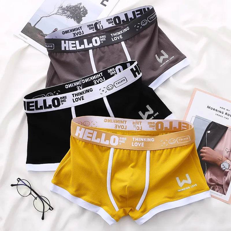 Men Panties Cotton BoxerShorts Man Underwear Mens Boxers Breathable U Convex Male Underpants Sexy Plus Size cuecas calzoncillos - Tamnz