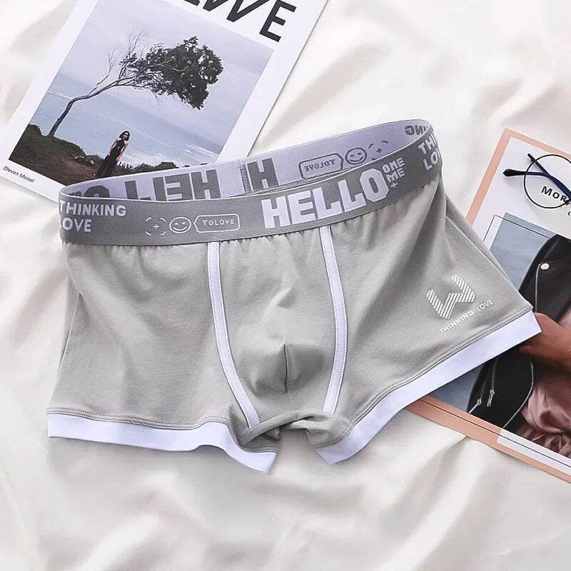 Men's Panties Cotton BoxerShorts Man Underwear Mens Boxers Sexy U Convex Male Underpants Plus Size cuecas calzoncillos - Tamnz