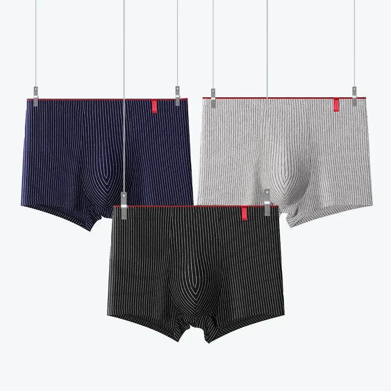 4 Pcs Boxer Men Sexy Stripe Panties Underwear Sexy Knickers for Men Underpants Shorts Fashion Under Wear Lingerie Boxers Briefs - Tamnz
