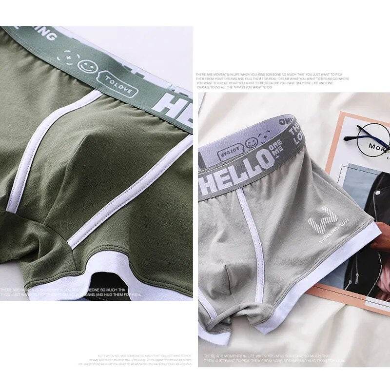 Men's Panties Cotton BoxerShorts Man Underwear Mens Boxers Sexy U Convex Male Underpants Plus Size cuecas calzoncillos - Tamnz