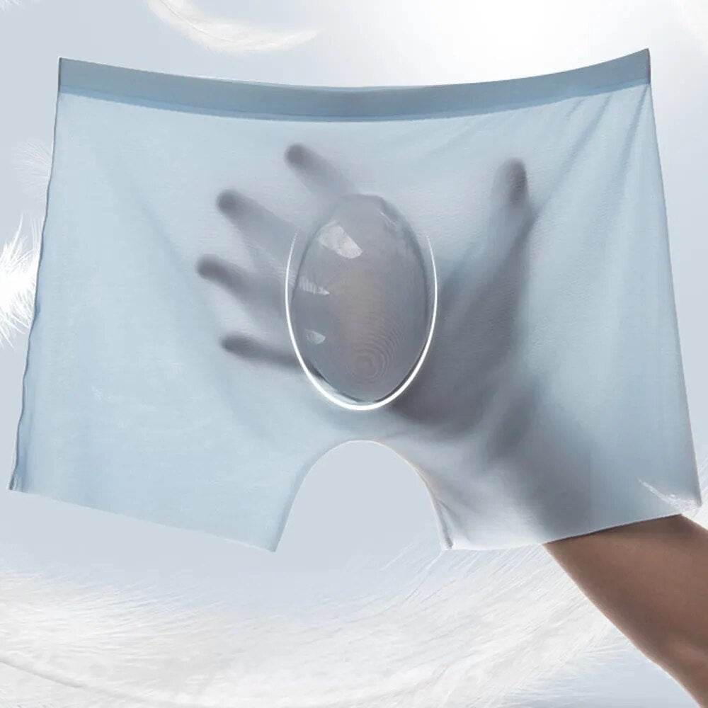 Mens Boxer Shorts Ice Silk Man Underpants Panties Male Ultra-thin - Tamnz