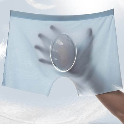 Mens Boxer Shorts Ice Silk Man Underpants Panties Male Ultra-thin - Tamnz